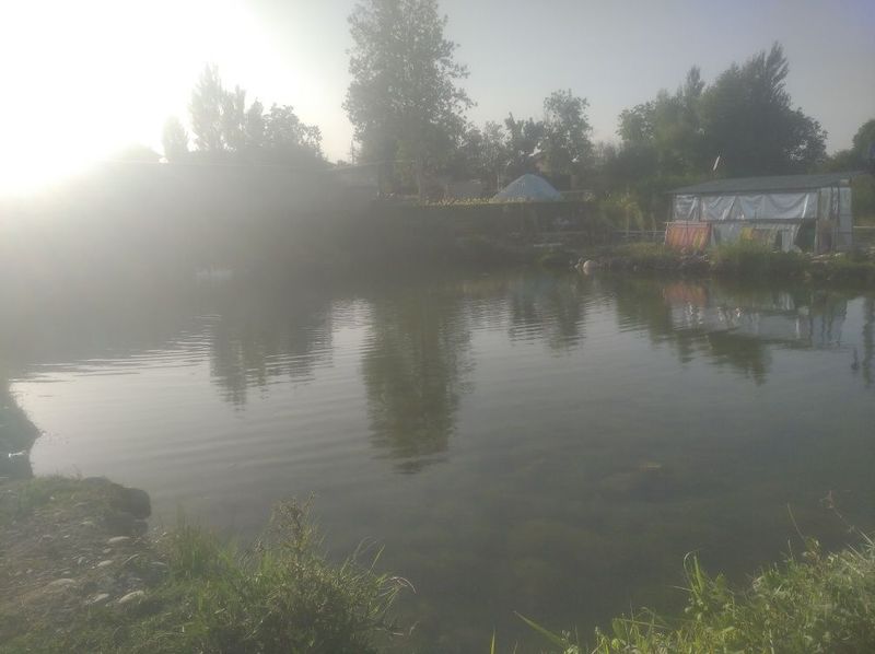 Сдаётся Водоём Для Разведения Рыбы Сдаётся Водоём Для Разведения Рыбы