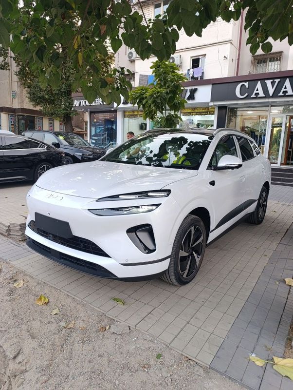 BYD SEA LION 06 full натариусга тайер