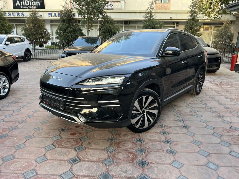 Byd Champion Hybrid Byd Champion Hybrid