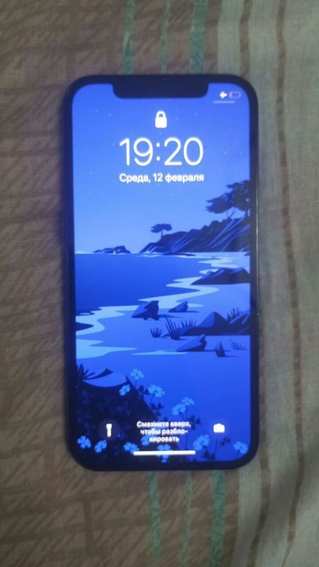 Iphone 12 pro max 256