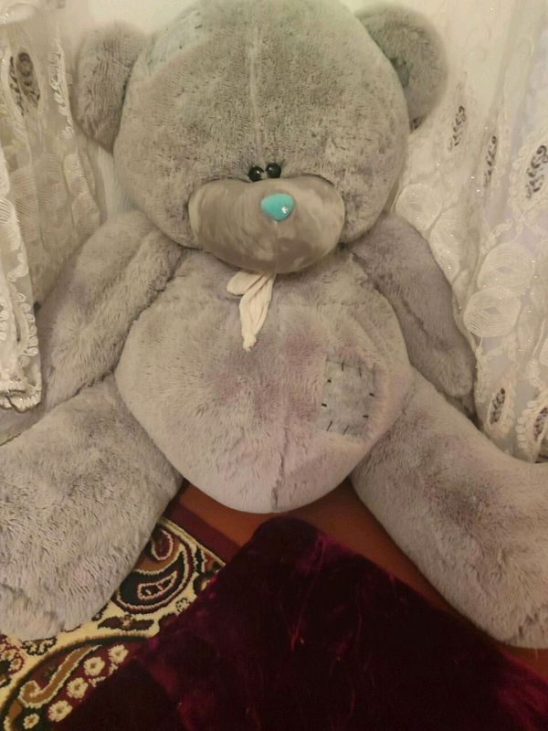 Teddy Teddy