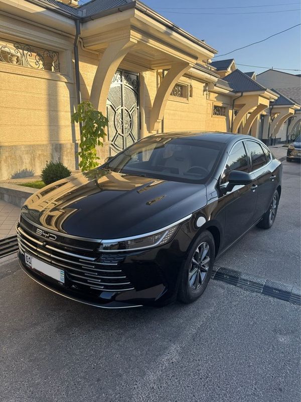 BYD Chazor 55 EV 2 Pozitsiya 2024 yil