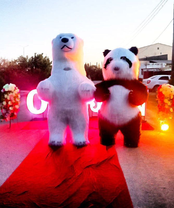 TEDDI Ayiq va Panda sotiladi TEDDI Ayiq va Panda sotiladi