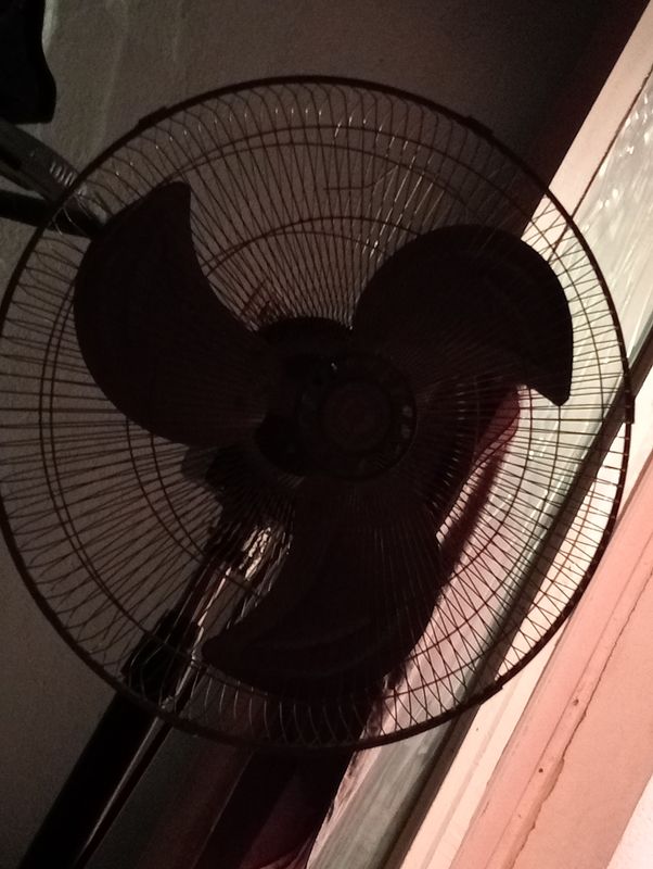 vintilyator vintilyator