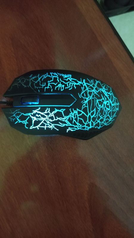 Rgb sichqonda sotiladi