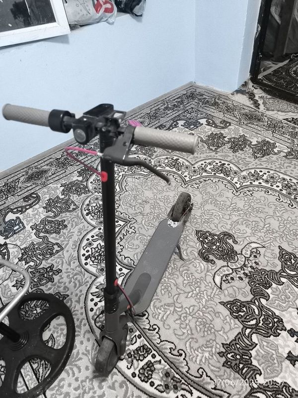 samakat sotiladi samakat sotiladi