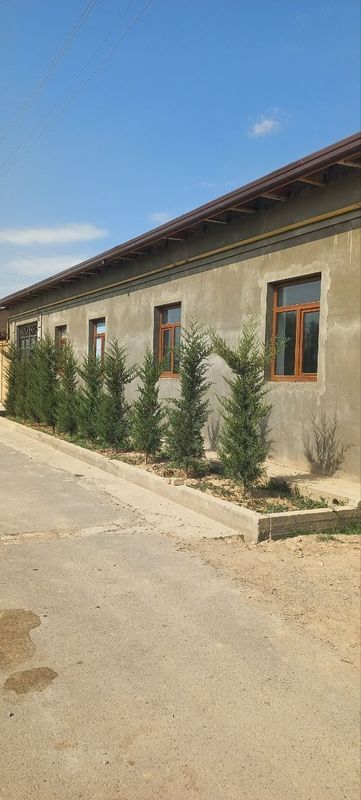 Kelesda 6 sotix xovli sotiladi Kelesda 6 sotix xovli sotiladi
