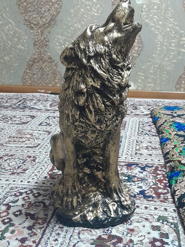 Asalomu aleykum bu boʻrini 250.000 kelishamiz