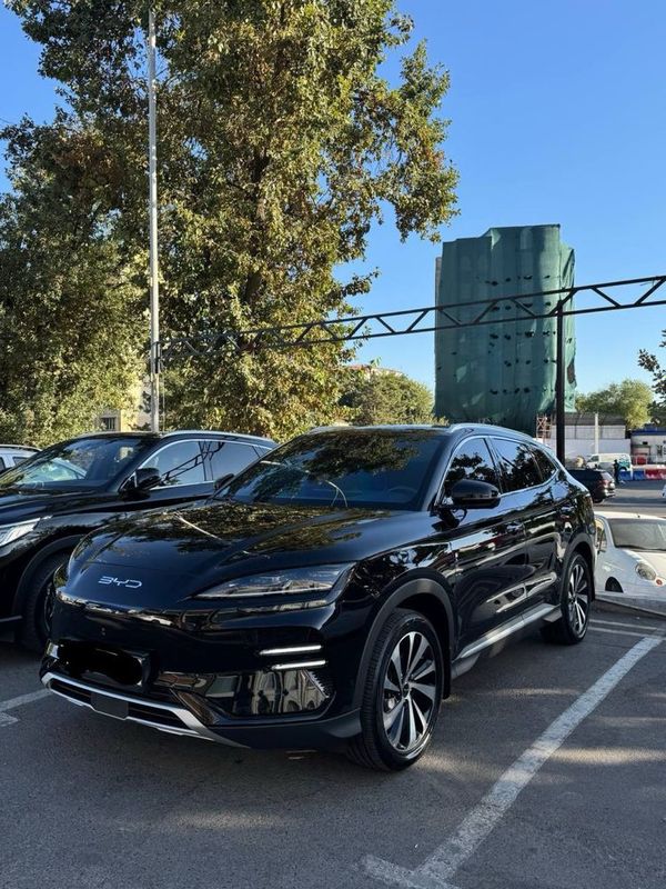 BYD CHAMPION , 2024 йил , Краска тоза