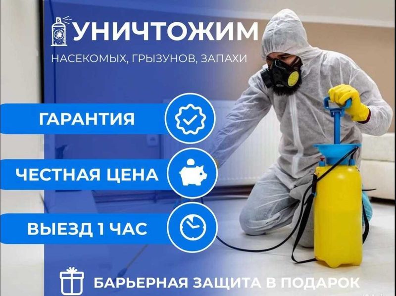 Дезинфекция Dezinfeksiya tarakan klop burga chivin ilon клоп таракан Дезинфекция Dezinfeksiya tarakan klop burga chivin ilon клоп таракан