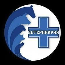 Veterinariya xizmati Veterinariya xizmati