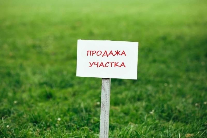 Вдоль дороги продаётся Участок 35 соток. Зенит Вдоль дороги продаётся Участок 35 соток. Зенит