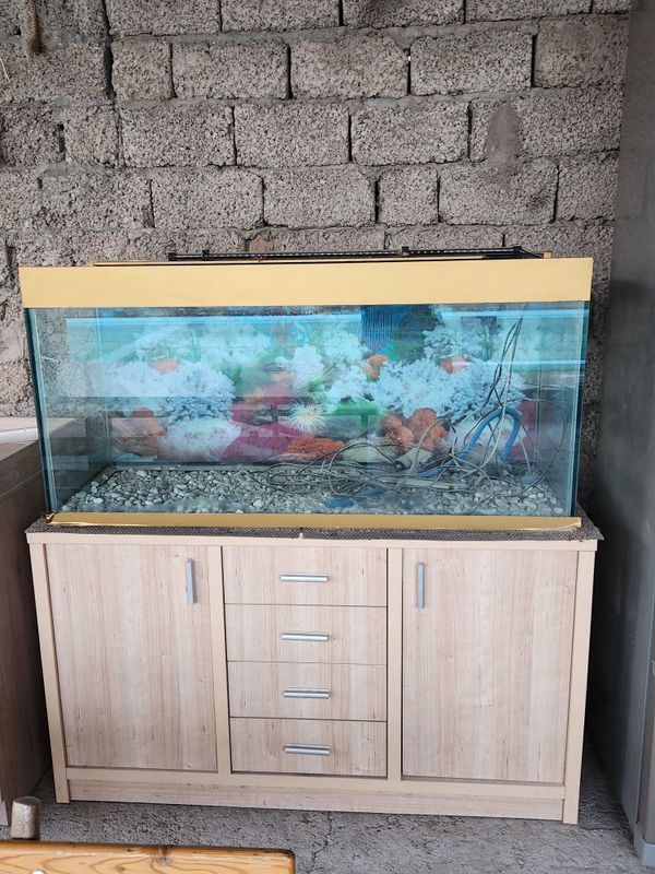 Продаётся аквариум Продаётся аквариум