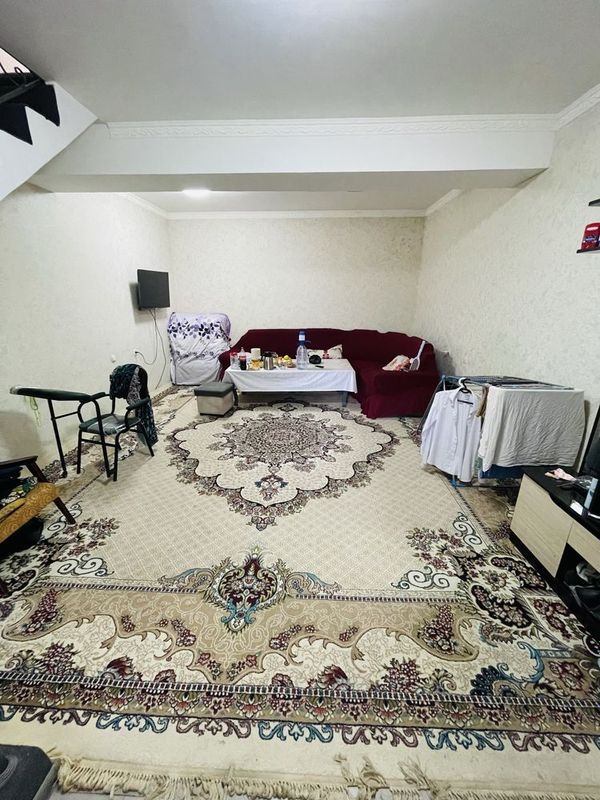 Kotej arzon narhda sotiladi Kotej arzon narhda sotiladi