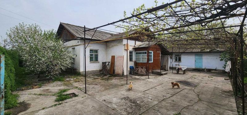 ПРОДАЕТСЯ Участок 13.2 соток, Новый Ташкентский р-н, поселок Гулистан. ПРОДАЕТСЯ Участок 13.2 соток, Новый Ташкентский р-н, поселок Гулистан.