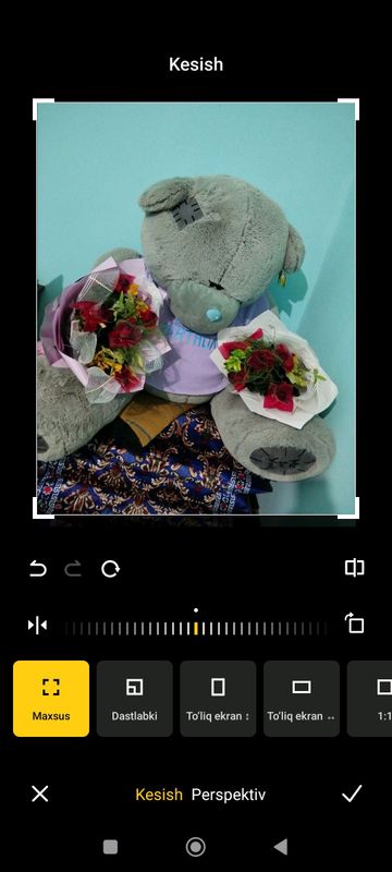 Tedde ayiqcha katta Tedde ayiqcha katta
