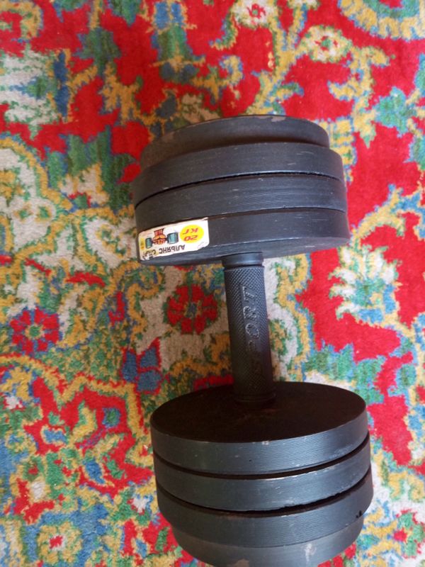 Gantel, 20 kg, 2ta