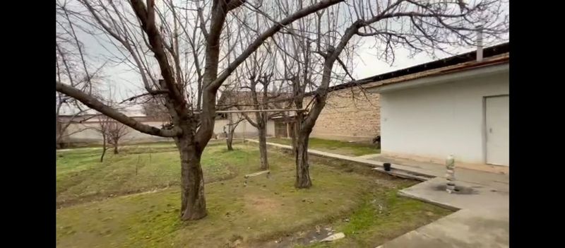 Nazarbekda hovli 14500 sotihi yana kelishiladi Nazarbekda hovli 14500 sotihi yana kelishiladi