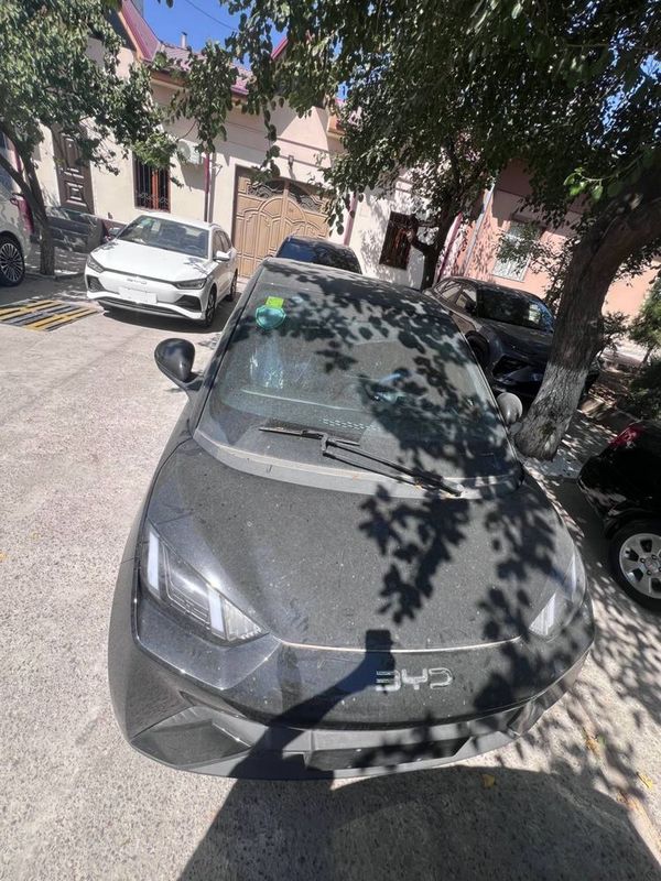 Byd seagull eng fulli