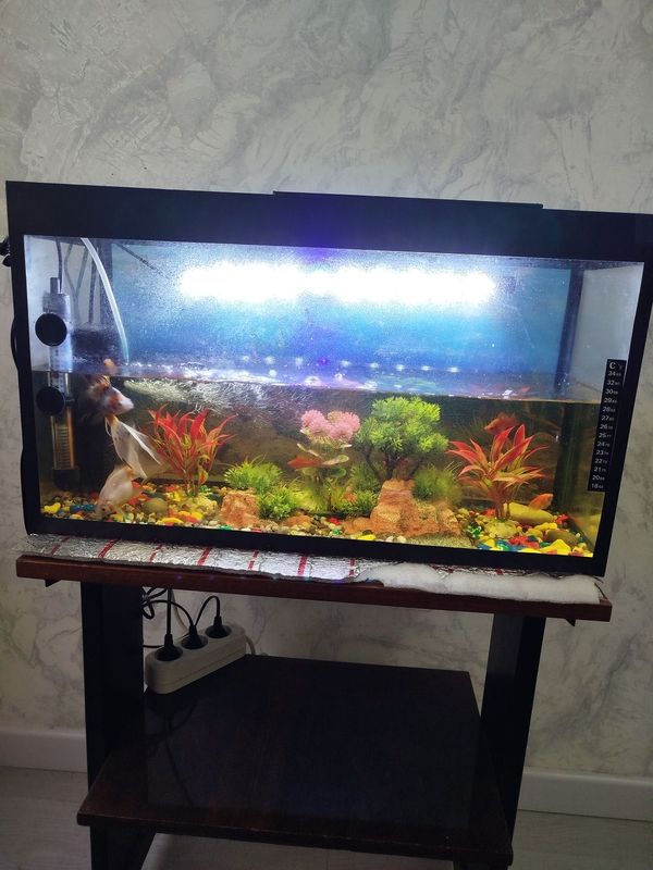 Akvarium va baliq sotiladi Akvarium va baliq sotiladi
