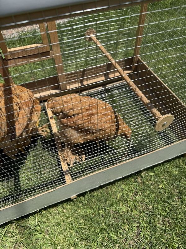 Brama kichkinaligidan qaralgan Brama kichkinaligidan qaralgan