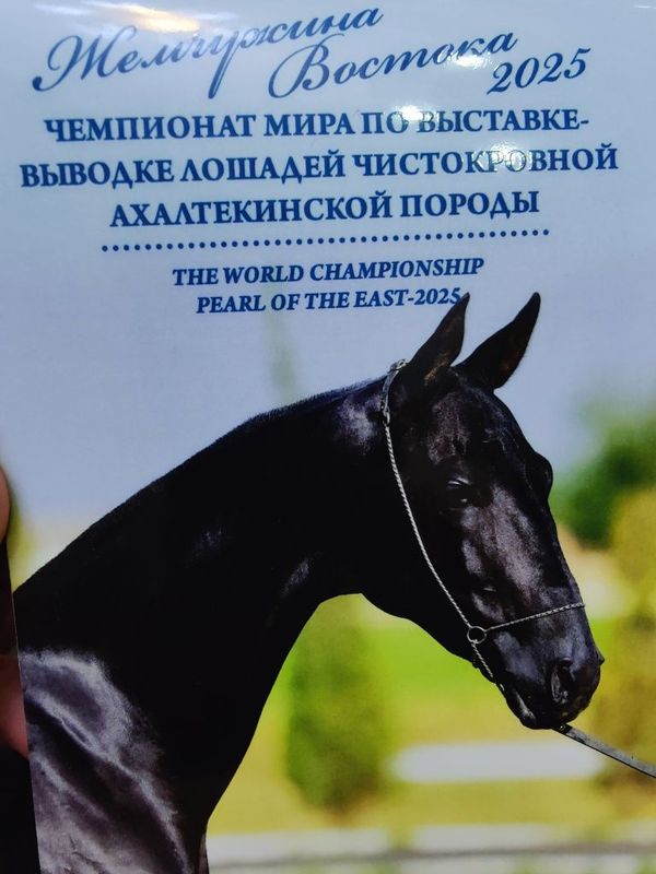 Билеты пригласительные. Жемчужина Востока. Билеты пригласительные. Жемчужина Востока.