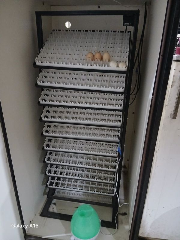 Inkubator xizmatlari Inkubator xizmatlari