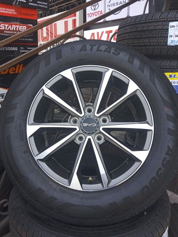 Byd chazor zapaska Byd chazor zapaska