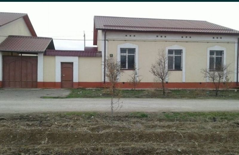 Намунали ховли сотилади! Намунали ховли сотилади!
