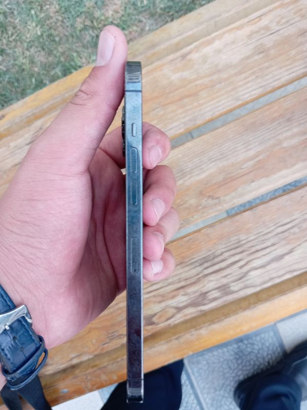 iPhone 12 pro max