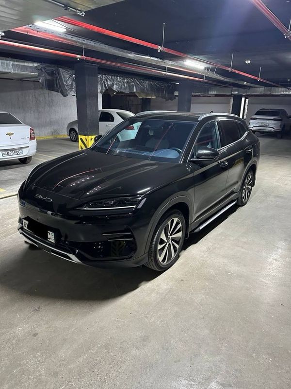 Byd Champion ev 2024 oficial Byd Champion ev 2024 oficial
