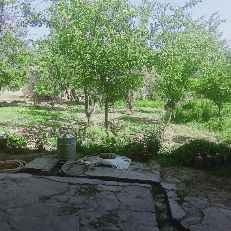 14 sotix uchastka