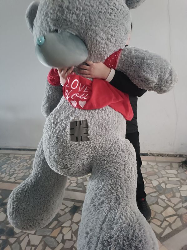 Teddy ayiq yangi Teddy ayiq yangi
