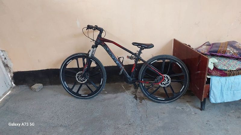 Velik xolati yaxshi Velik xolati yaxshi