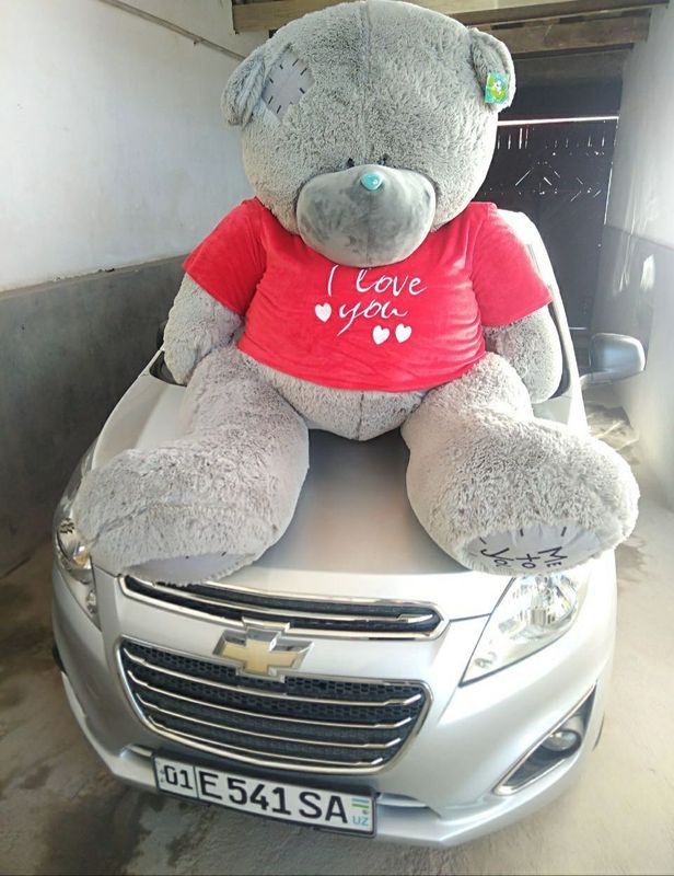 Teddy ayiglarmiz