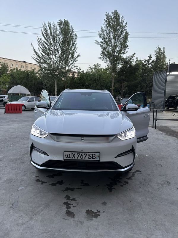 Byd song plus 2023 Byd song plus 2023