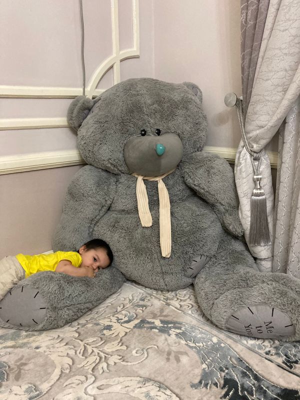 Teddy ayiq Teddy ayiq
