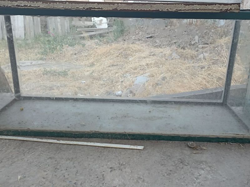 Аквариум синмаган Аквариум синмаган