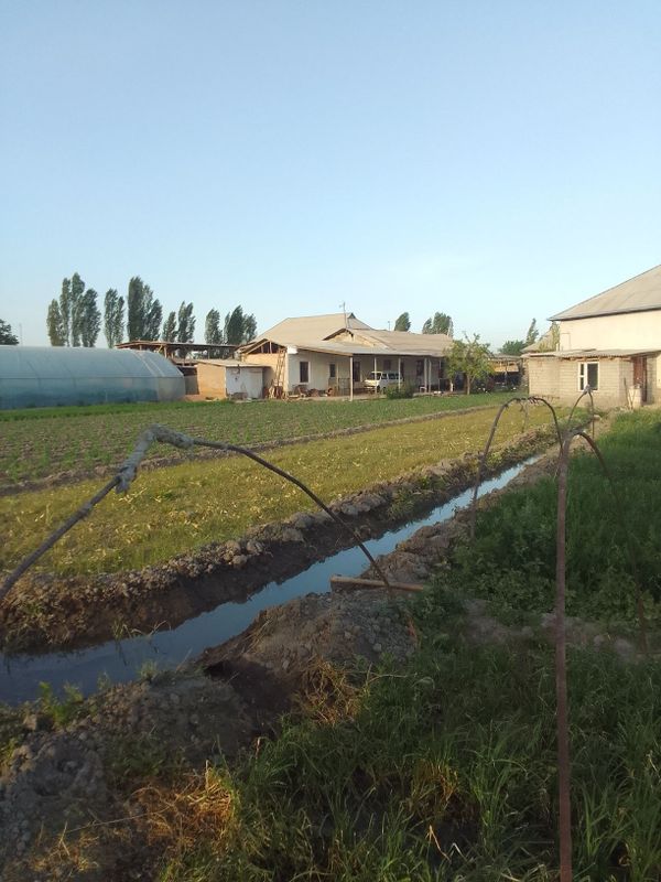 Уй сотилади дехкончилик ва чорва учун зор жой Уй сотилади дехкончилик ва чорва учун зор жой