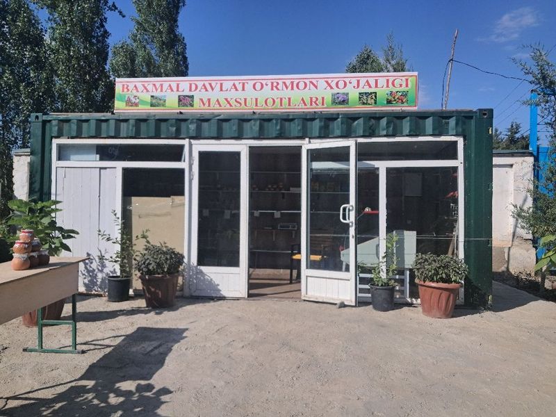 Tayor biznes xamma sharoyitlari bor