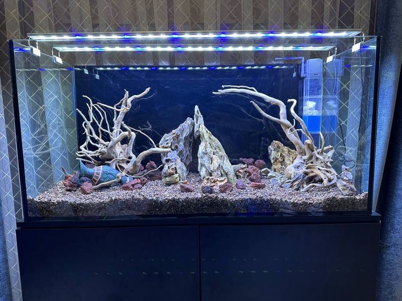 akvarium sotiladi akvarium sotiladi