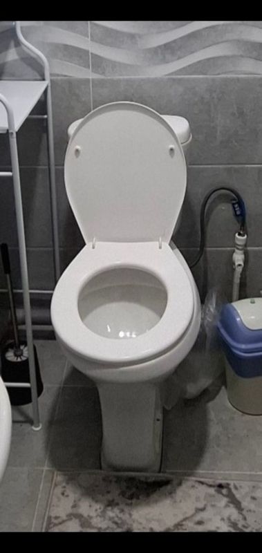 Самаунг унитаз 2