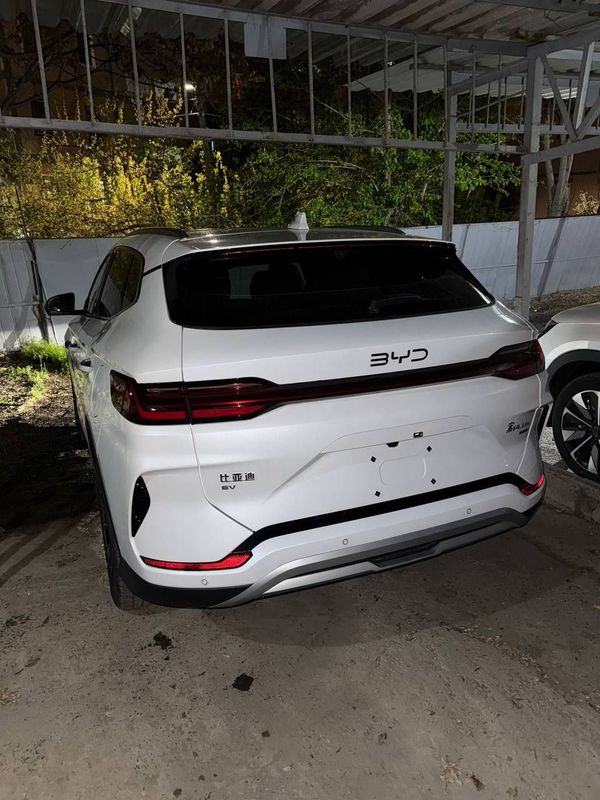 Byd champion halol nasiya Byd champion halol nasiya