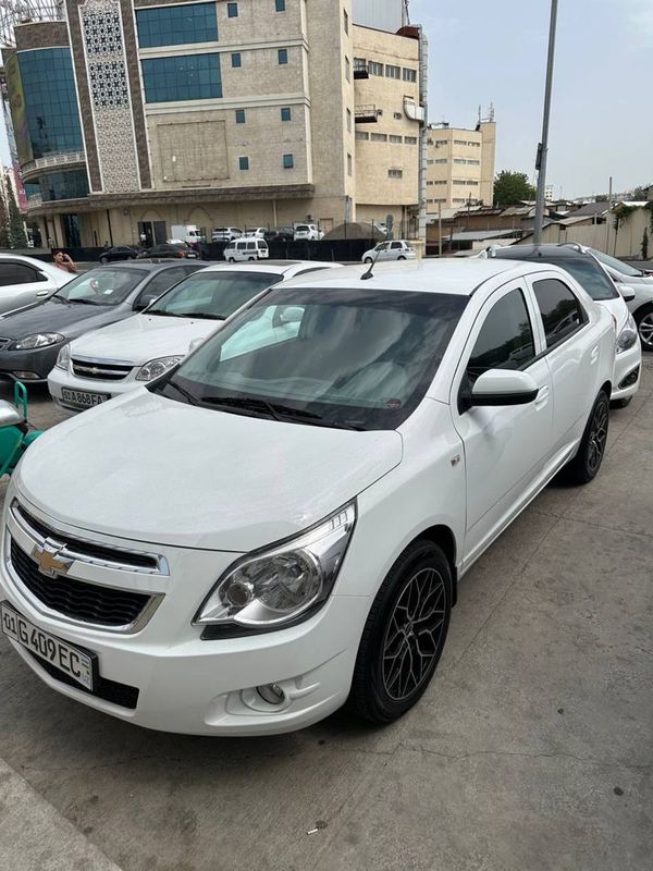 Cobolt 2023 full Cobolt 2023 full