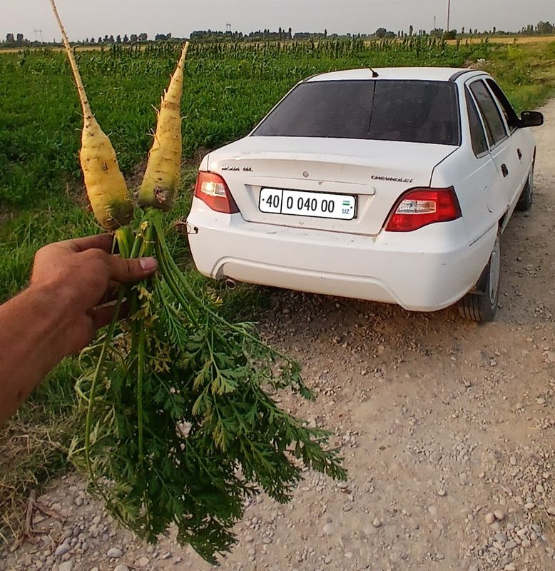 Sabzi sotiladi. Rishton Zohidon Sabzi sotiladi. Rishton Zohidon