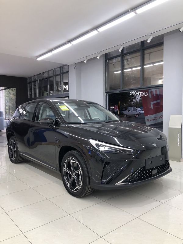 Neta L 310Km Gibrit 1 - yil Kafolat