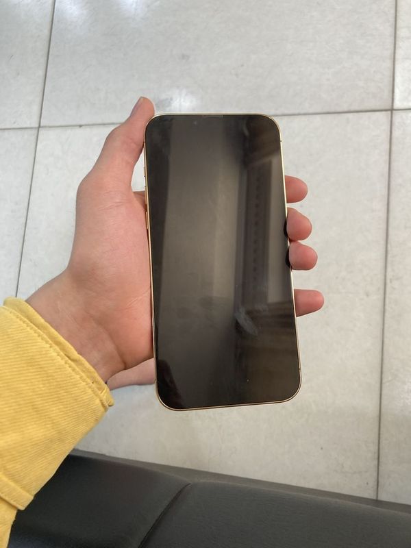 Iphone 13 pro max ideal Iphone 13 pro max ideal