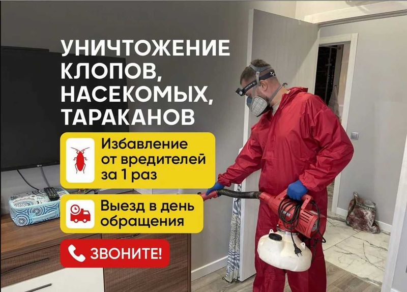 Dezinfeksiya dezenfeksiya dizinfeksiya Обработка от тараканов клопов Dezinfeksiya dezenfeksiya dizinfeksiya Обработка от тараканов клопов