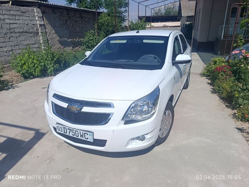 Cobalt 2023 tozza Cobalt 2023 tozza