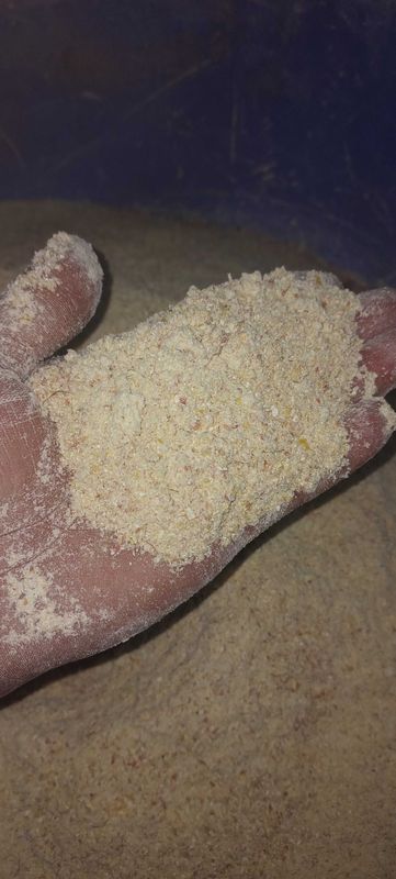 Кукурузная мука, жухори уни ичида майда сечкаларихам бор жужалар бопи Кукурузная мука, жухори уни ичида майда сечкаларихам бор жужалар бопи